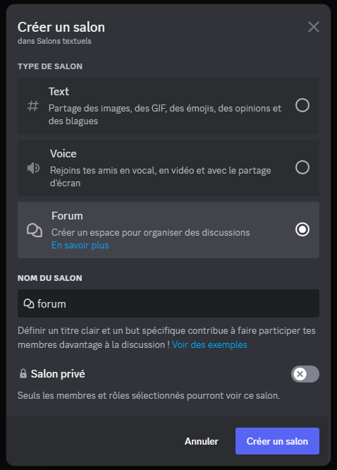 Menu apparaissant suite à avoir cliqué sur la croix de l'image prédente. Ici j'ai choisi forum comme nom et je l'ai laissé public.