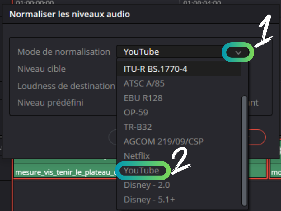 Sélection du mode de normalisation sur YouTube dans mon cas.