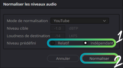 Sélection du niveau prédéfini sur indépendant puis validation en appuyant sur le bouton normaliser.