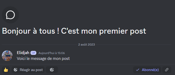 Rendu du post une fois la publication effectuée.